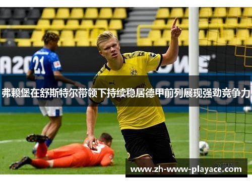 弗赖堡在舒斯特尔带领下持续稳居德甲前列展现强劲竞争力