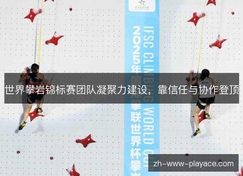 世界攀岩锦标赛团队凝聚力建设,靠信任与协作登顶 世界攀岩锦标赛团队凝聚力建设,靠信任与协作登顶